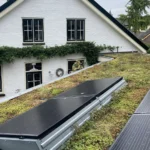 Groene daken, levendige buurt!